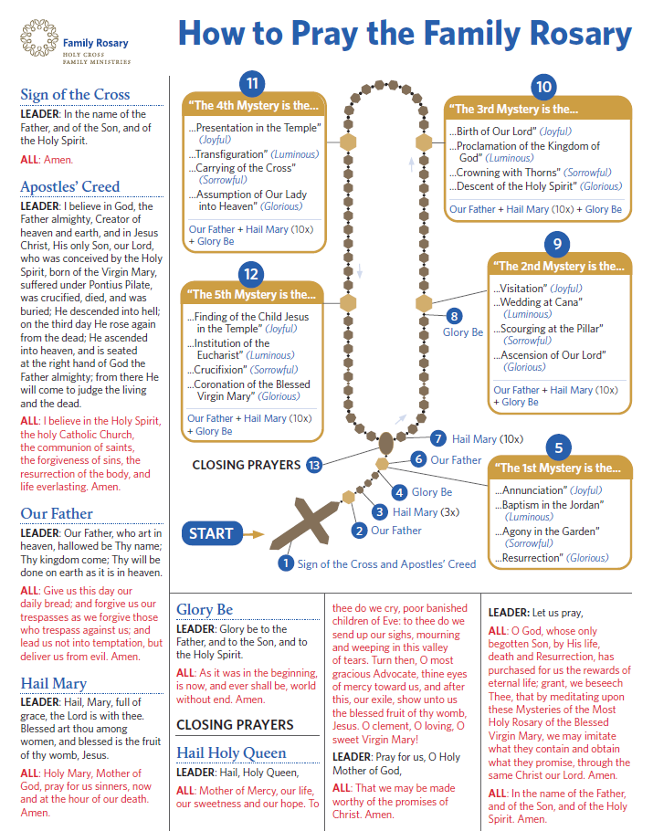 How to Pray the Family Rosary Beginner’s Guide – HCFMstore